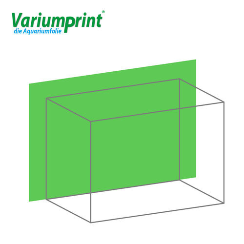 Variumprint® selbstklebende Aquarium-Rückwandfolie EO-Shiny Green