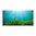 Aquarium Rückwandfolie selbstklebend Variumprint® Seagrass